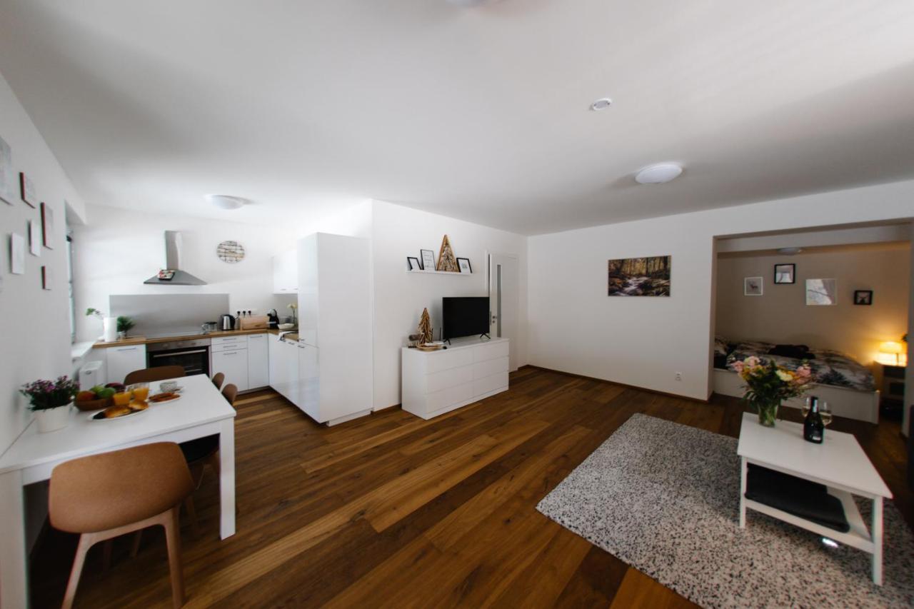 Apartman S Nadhernym Vyhledem V Centru Harrachova Экстерьер фото