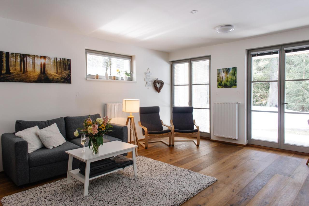 Apartman S Nadhernym Vyhledem V Centru Harrachova Экстерьер фото